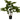 Lauren Taylor - Artificial Fig Tree in Black Pot - Magasins Hart | Hart Stores