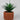 Lauren Taylor - Artificial Succulent in Cement Pot - Magasins Hart | Hart Stores
