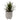 Lauren Taylor - Artificial Succulents in Clay & White Footed Pots - Magasins Hart | Hart Stores