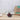 LAUREN TAYLOR - Glass Salad Bowl - 4L - Magasins Hart | Hart Stores