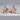 Lauren Taylor - Wooden Star - Magasins Hart | Hart Stores