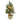 Lauren Taylor - Xmas Snowy Pine Tree With 20 LED - Magasins Hart | Hart Stores