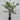 Lauren Taylor - Artificial Bamboo Tree in Black Pot