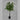 Lauren Taylor - Artificial Nandina Tree in Black Pot