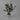 Lauren Taylor - Artificial Olive Tree