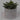 Lauren Taylor - Artificial Stout Succulents in Grey Cement Pots