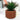 Lauren Taylor - Artificial Succulent in Cement Pot