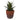 Lauren Taylor - Artificial Succulents in Clay & White Footed Pots