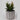 Lauren Taylor - Artificial Succulents in Grey Cement Pots