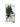 Le Spa - Diffuser With Plant And Black Rattan 100ml - Magasins Hart | Hart Stores