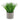 Grass in Cement Arrow Pot