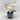 Orchid In Cement Pot Black Triangle
