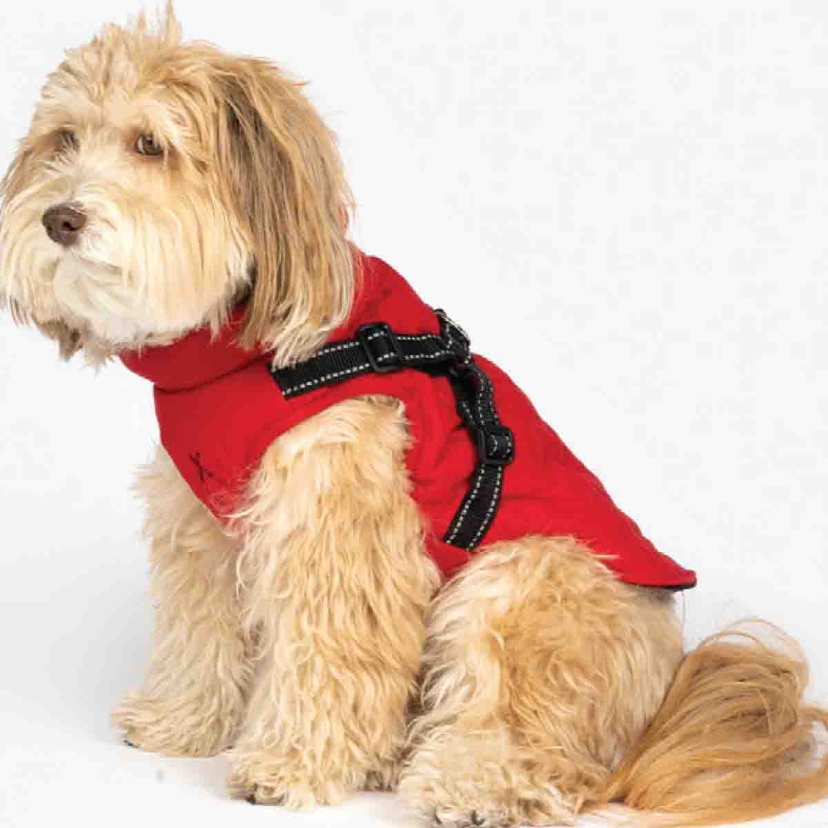 Harnais Veste Pour Chiens - Petit Chien Moyen Gilet Souple Plusieurs Couleurs Convient Également - Foto 10