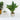 Plant In Geo Cement Pot