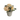 Rose Flower In Ceramic Pot