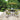 SOL DEL MARE - 6 Piece Patio Dining Set - Magasins Hart | Hart Stores