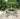 SOL DEL MARE - 6 Piece Patio Dining Set - Magasins Hart | Hart Stores