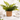 Artificial Fern Brown Cement Pot - Magasins Hart | Hart Stores