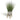 Grass In Cement Arrow Pot W/wood Stand