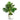 Monstera In Marble Pot 