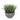 Grass In Mosaic Cement Pot