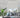 Jour et Nuit - Stores enrouleurs aspect bois sans cordon | Beige