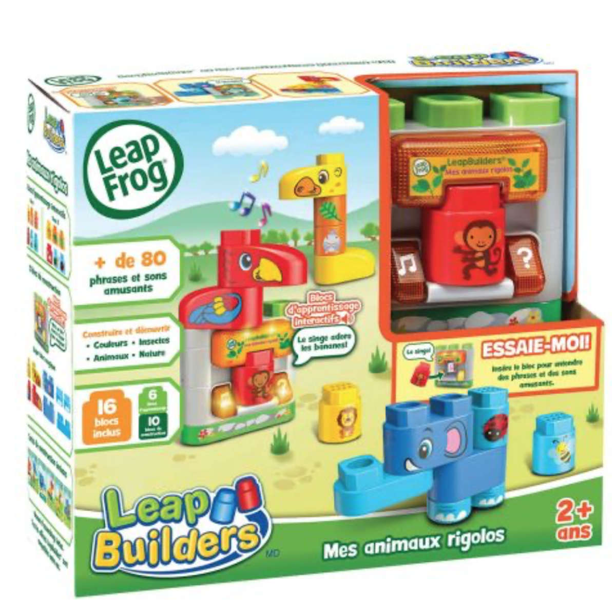 Blocks & Building