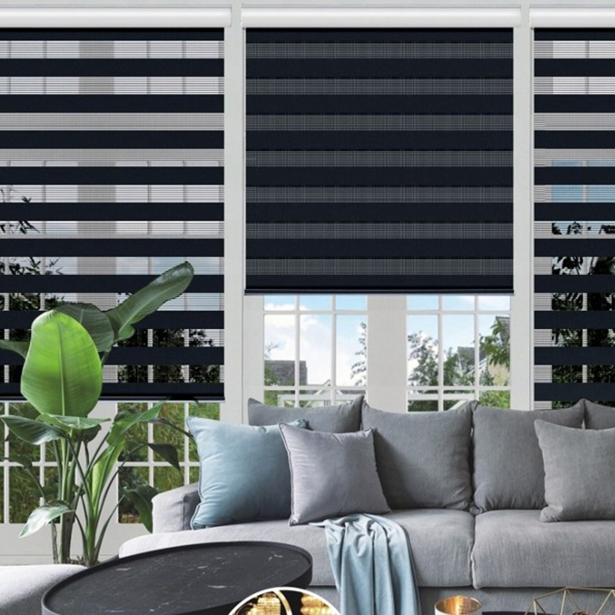 Blinds