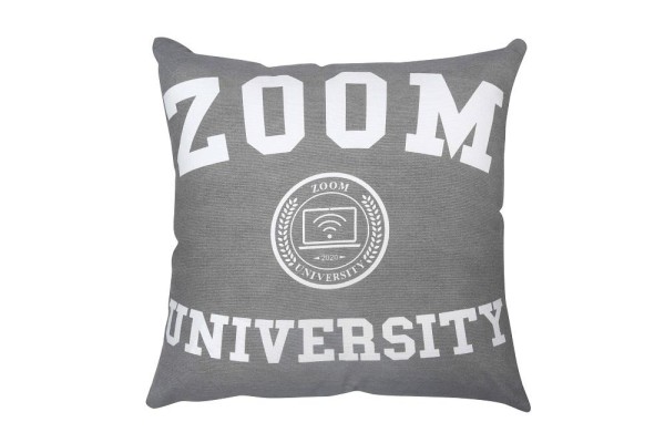Coussin Zoom University