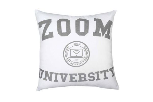 Coussin Zoom University