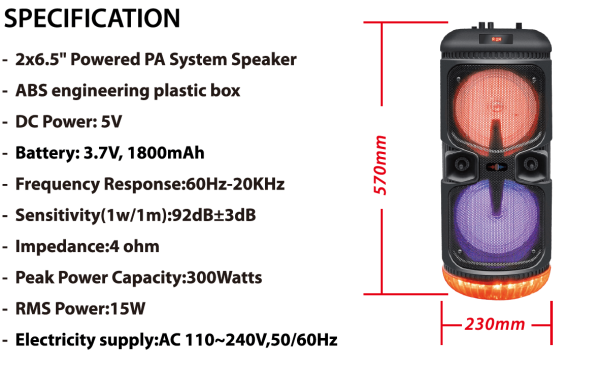 Double haut-parleur Bluetooth 6,5