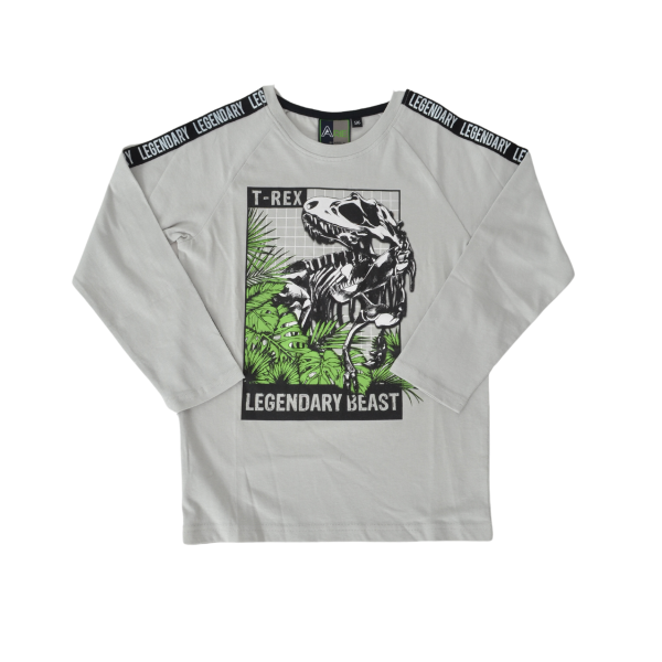Juvenile Boys Raglan