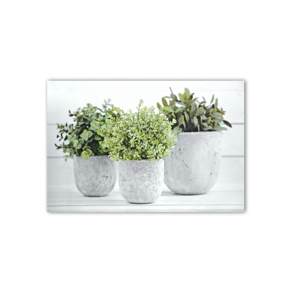 Canvas Greens In Pot 60x90in
