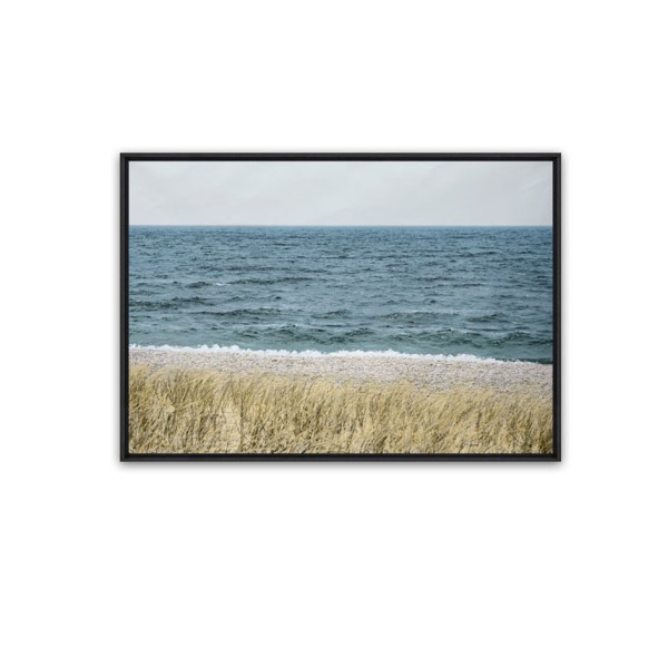 Canvas Framed Grass Sea Beach