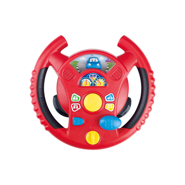 Steer And Learn Driver