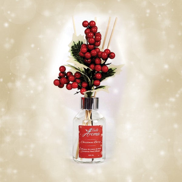 Xmas Diffuseur De Roseaux De Noël (100ml)