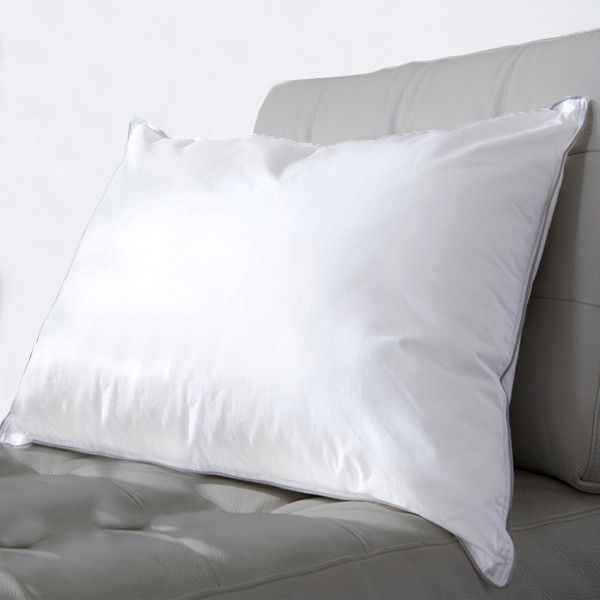 Lauren Taylor - Cotton 230 Thread Count Pillow - Magasins Hart | Hart Stores