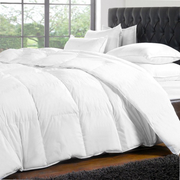 W Home - Cotton Duvet with White Duck Down & Microgel - Magasins Hart | Hart Stores
