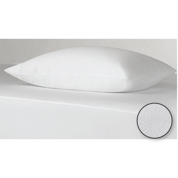 Studio 707 - Basic Waterproof Pillow Protectors - Magasins Hart | Hart Stores