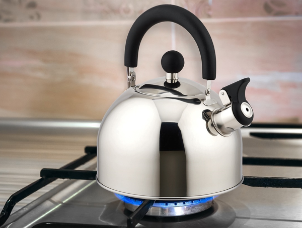 ROB - Stainless Steel Whistling Kettle Mirror Finish