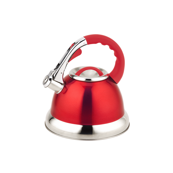 Stainless Steel Whistling Kettle