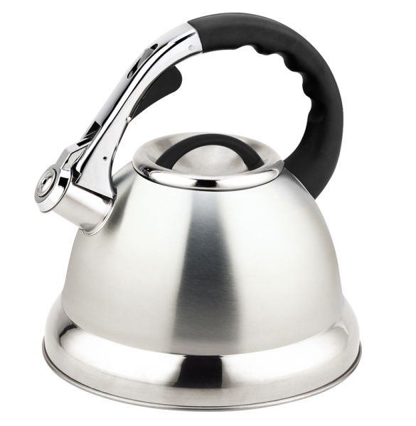 Stainless Steel Whistling Kettle