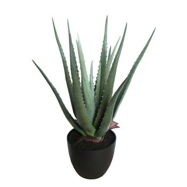 Aloe Artificial Plant - Magasins Hart | Hart Stores
