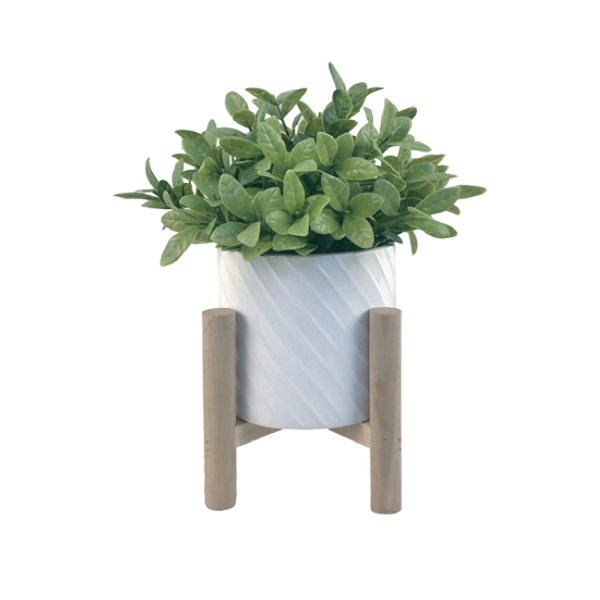 Grass Ceramic Pot In Wood Stand 12x29