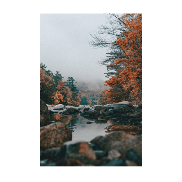 Toile imprimée scénique d'automne