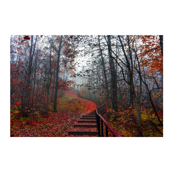 Toile imprimée scénique d'automne