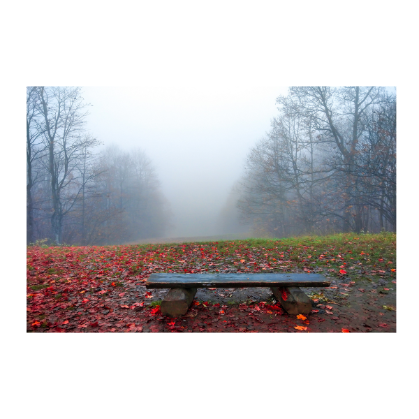 Toile imprimée scénique d'automne