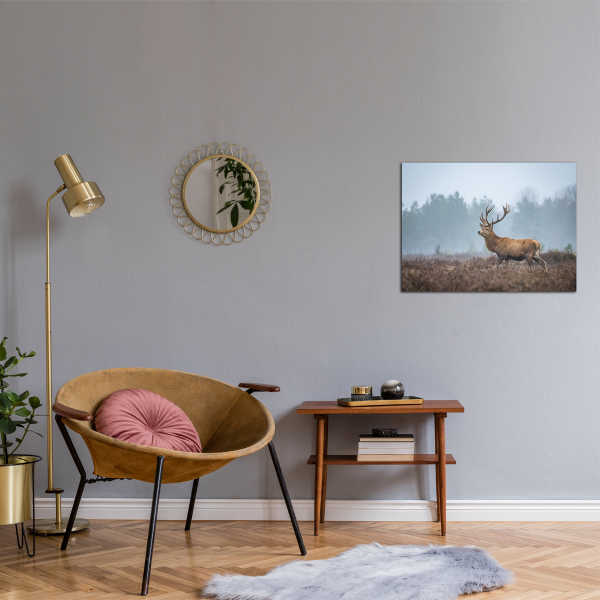 Tableau imprimé sur la vie sauvage