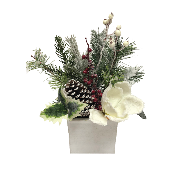 Xmas Assortment White Box 13in