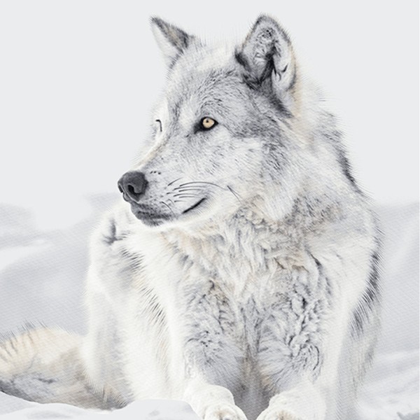 Sitting Wolf Silver Plush Mink Throw 50x60 - Magasins Hart | Hart Stores